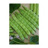 İbk İklim Bahçe Fasulye Tohumu Edanaz ( Oturak ) - 2 kg
