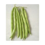 İbk İklim Bahçe Fasulye Tohumu Magen ( Oturak ) - 2 kg