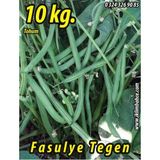 İbk İklim Bahçe Fasulye Tohumu Tegen ( Oturak ) - 10 kg