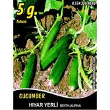 İBK İklim Bahçe Hıyar Tohumu Salatalık Yerli - 5 g (~ Takribi 100 Tohum)