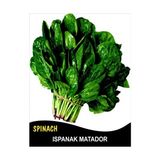 İbk İklim Bahçe Ispanak Tohumu - 10 G (~ 500 Tohum) - 10 gr