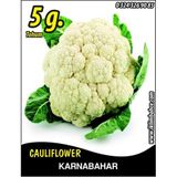 İBK İklim Bahçe Karnabahar Tohumu Igloo 5 g (~ Takribi 850 Tohum)