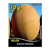 İBK İklim Bahçe Kavun Tohumu Ananas - 10 g. (~ Takribi 140 Tohum)