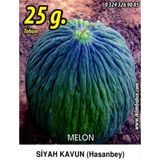 İBK İklim Bahçe Kavun Tohumu Hasan Bey 1-25g (~ Takribi 350 Tohum)