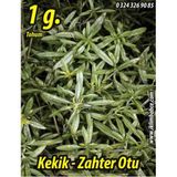 İBK İklim Bahçe Kekik Tohumu Zahter Satureja hortensis L - 1 g. (~ Takribi 250 Tohum)