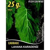 İBK İklim Bahçe Lahana Tohumu Karadere (Yaprak) - 25g (~ Takribi 3250 Tohum)