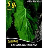 İBK İklim Bahçe Lahana Tohumu Karadere (Yaprak); - 5g (~ Takribi 650 Tohum)