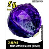 İBK İklim Bahçe Lahana Tohumu Mohrenkopf (Kırmızı) - 5 g (~ Takribi 650 Tohum)