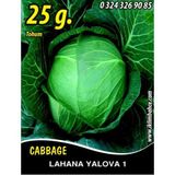 İBK İklim Bahçe Lahana Tohumu Yalova 1 (Beyaz) - 25g (~ Takribi 3250 Tohum)