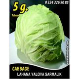 İBK İklim Bahçe Lahana Tohumu Yalova Sarmalık (Beyaz) - 5 g (~ Takribi 650 Tohum)