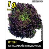 İBK İklim Bahçe Marul Tohumu Akdeniz Kıvırcığı 1 g. (~ Takribi 550 Tohum)