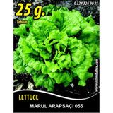 İBK İklim Bahçe Marul Tohumu Arapsaçı 055 (Kıvırcık) - 25 g. (~ Takribi 13750 Tohum)