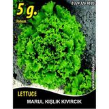 İBK İklim Bahçe Marul Tohumu Kışlık Kıvırcık - 5g (~ Takribi 2750 Tohum)