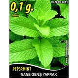 İBK İklim Bahçe Nane Tohumu Geniş Yaprak - ~0,035 g (~ Takribi 130 Tohum)