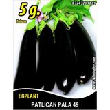 İBK İklim Bahçe Patlıcan Tohumu Pala 49-5g (~ Takribi 650 Tohum)
