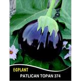 İBK İklim Bahçe Patlıcan Tohumu Topan 374-10g (~ Takribi 1300 Tohum)