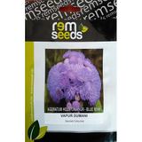 İBK İklim Bahçe Vapur Dumanı Çiçeği Tohumu - AGERATUM HOUSTONIANUM (~ Takribi 50 Tohum)