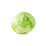 Iceberg Marul Tohumu 100 Adet Tohum Aksaray Tohumculuk