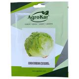 Iceberg Marul Tohumu 2 gr
