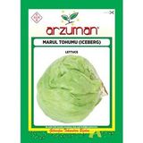 İCEBERG MARUL TOHUMU 5 GR ORT 3750 AD TOHUM
