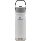 Iceflow Paslanmaz Çelik Pipetli Su Şişesi, Vakum Yalıtımlı Su Şişesi, Ev ve Ofis Için, Hasır Sızdırmaz Kapaklı Yeniden Kullanılabilir Bardak, Polar, 22 Oz