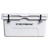 Icepeak Aden 65 lt Buzluk
