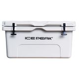 Icepeak Aden Plus 65 lt Buzluk