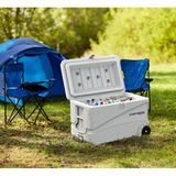 Icepeak Coolcraft 80 75.2 lt Tekerlekli Buzluk