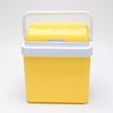 Icepeak Sf26 Taşıma Çantası Buzluk 26 Litre-Sarı