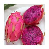 Içi Kırmızı Ejder Meyvesi(Pitaya) Tohumu 5 Adet