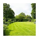 ICL Specialty Fertilizers Sierrablen 5-6 aylık Çim Bakım Gübresi 28+05+05+Fe