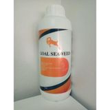 İcon Kimyasal Goal Seaweed Sıvı Bitki Besini 1Lt
