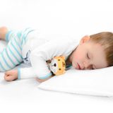 Icon Silk%100 Saf İpek Dolgulu Yastık Bebek Ebat 35 cm x 45 cm Pamuk Kaplı Hipoalerjenik