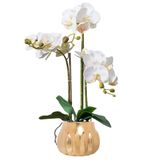icVantA Yapay Çiçek Bitkileri Yapay Çiçekler Doğal Görünüm Sahte Orkide Gerçekçi Yapay Phalaenopsis İç Dekorasyon için Çiçekler Güzel Şekil,