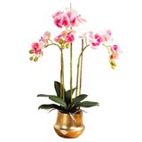 icVantA Yapay Çiçek Sahte Orkide Saksı Çiçek Seti Yapay Phalaenopsis Çiçekler Masa Dekorasyonu Yapay Çiçekler Gerçekçi Görünümlü Bitkiler Güzel Şekil,