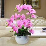 icVantA Yapay Çiçek Saksı Sahte Orkide Oturma Odası Dekorasyonu Vazolu Yapay Phalaenopsis Çiçekleri Yapay Çiçekler Botanik Aranjman Güzel Şekil,
