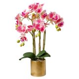 icVantA Yapay Çiçek Saksı Yapay Phalaenopsis Çiçek Aranjmanı Yapay Çiçekler Ev Ofis Banyo için Vazolu Sahte Orkideler, Güzel Şekil,