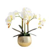 icVantA Yapay çiçek seti yapay beyaz orkide Phalaenopsis aranjmanı çiçek bonsai altın vazo masa orta parça dekorasyon,