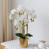 icVantA Yapay Çiçek Seti Yapay Phalaenopsis Orkide Aranjmanı Vazolu Sahte Orkide BonsaiDüğün Partisi Ev Merkezi Dekor Güzel Yapay,