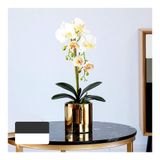 icVantA Yapay Çiçekler Phalaenopsis Yaprakları ve Kök Simülasyon Orkide Seramik Vazolu Ev/Mutfak/Yatak Odası/Yemek Masası için Süsleme,