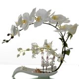 icVantA Yapay Çiçekler Yapay Orkide Dekorasyonu - Phalaenopsis Çiçek Aranjmanları Suni Phalaenopsis Porselen Vazo Bonsai Dekorasyonu ile Saksı,