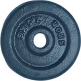 İ&DBABY 2,5kg Demir Döküm Halter Plaka - 2,5 kg - Siyah