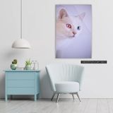 İdeal Glass Art Beyaz Kedi Cam Tablo