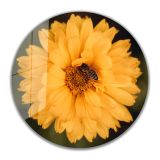 İdeal Glass Art İdealizbiz Çiçek Yuvarlak 4 mm Dayanıklı Temperli Cam Tablo