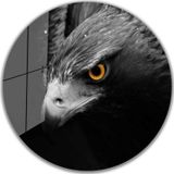İdeal Glass Art İdealizbiz Kartal Yuvarlak 4 mm Dayanıklı Temperli Cam Tablo