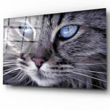 İdeal Glass Art Kedi Cam Tablo