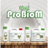 Ideal Probiom Liquid 5 lt Beslenme Ürünü