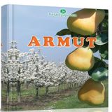 ideaPazar Armut Kitabı