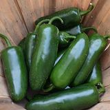 ideaPazar Doğal Çok Acı Jalapeno Biber Tohumu (20adet)