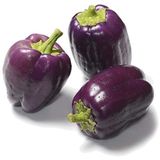 ideaPazar Doğal Dolmalık Purple Beauty Biber Tohumu (20 Adet)
